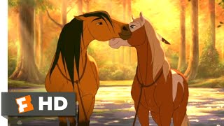 Spirit 2002  Horses in Love Scene 510  Movieclips [upl. by Andres612]