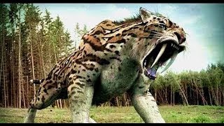 National geographic Documentary  Prehistoric predators  Beficompta [upl. by Anol]