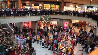 Flash Mob the best of Christmas 2011  Flash Mob Best Of [upl. by Earehc]