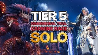 Throne amp Liberty SOLO Tier 5 Carmine Rage quotDimensional Dungeonquot [upl. by Thompson950]