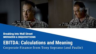 EBITDA Corporate Finance Lessons from Tony Soprano [upl. by Manuela454]