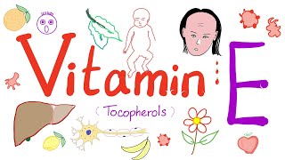 Vitamin E 🍎 🍊 🥦 🥬 Tocopherol  Everything You Need to Know [upl. by Aluor102]