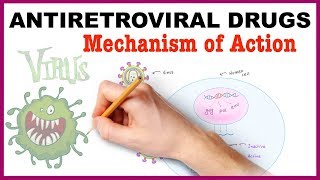 Antiretroviral Drugs Pharmacology  Mechanism of Action [upl. by Thirza]