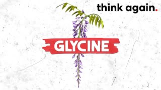 Glycine One Of The Most Potent AntiInflammatory Amino Acids [upl. by Mozelle]