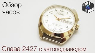 Обзор часов Слава 2427 с автоподзаводом [upl. by Canty]