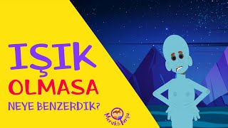 Işık nedir  Meraklı Turşu STEM Serisi [upl. by Leasim]