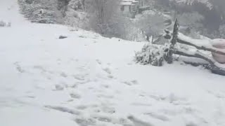 Mussoorie snowfall 2024 [upl. by Islek]