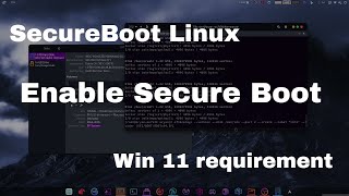 Enable secure boot on Linux  Dual boot Windows 11 and Linux [upl. by Ahsier593]