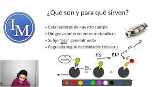 Bioquímica  Enzimas  Catalizadores Enzimáticos [upl. by Taddeo545]