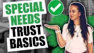 Special Needs Trust Basics [upl. by Aklam]