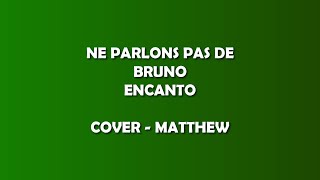 NE PARLONS PAS DE BRUNO  COVER  Encanto [upl. by Wolfgang449]