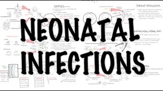 Neonatal Infections  Overview [upl. by Rothwell]