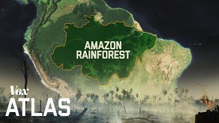 The destruction of the Amazon explained [upl. by Bright]