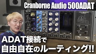 これ、すごい。Cranborne Audio 500ADAT、徹底レビュー [upl. by Glantz]