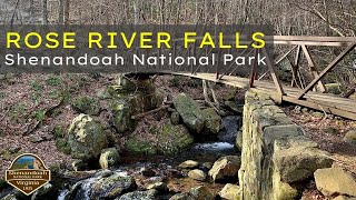 Shenandoah National Park  Rose River Falls Loop Trail  Virginia Hiking [upl. by Namwob962]