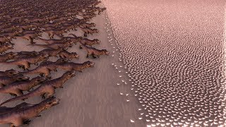 1000 TREX vs 80000 CHICKENS  Ultimate Epic Battle Simulator [upl. by Archibald522]