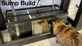 Building a DIY Sump [upl. by Harifaz132]