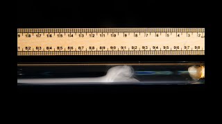 Diffusion in action  The reaction of ammonia and hydrogen chloride demonstration [upl. by Eaj50]