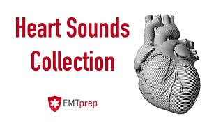 Heart Sounds Collection  EMTprepcom [upl. by Gall]