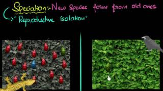 Speciation with example  Heredity amp Evolution  Biology  Khan Academy [upl. by Nwahser]