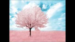 Robert Babicz  Pink Trees Original Mix [upl. by Ttirrem]