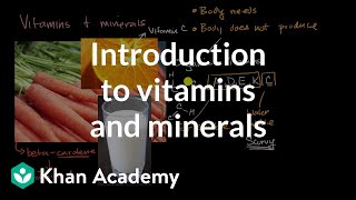 Introduction to vitamins and minerals  Biology foundations  High school biology  Khan Academy [upl. by Kenna]