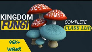 Fungi  Kingdom fungi class 11  Biological classification  Ncert  Be Educated [upl. by Anail]