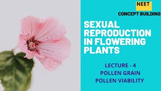 POLLEN GRAIN AND POLLEN VIABILITY  LECTURE 4 [upl. by Suiramad]