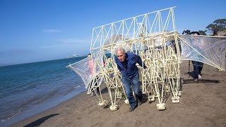 Adam Savage Meets Theo Jansens Strandbeest [upl. by Beuthel4]