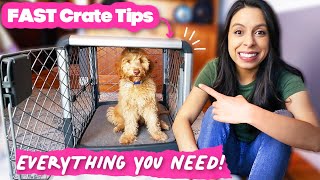 FASTEST Crate Training amp Why you NEED this Dog Crate 🐶 [upl. by Gavette]