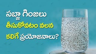 Benefits of Sabja Seeds In Telugu [upl. by Melton204]