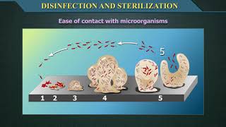 Disinfection and Sterilization [upl. by Lotz837]