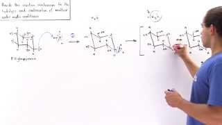 Condensation and Hydrolysis of Sugars [upl. by Aryan]