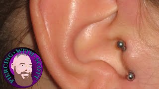 The Whole Truth  Vertical Tragus Piercing [upl. by Lebbie]