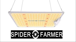 Testing Spider Farmer SF 1000 LED Grow Light  How To Adjust The Wattage [upl. by Eedebez826]