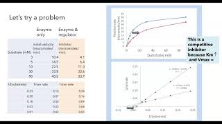 Michaelis Menten and Lineweaver Burk plots [upl. by Ayhtak977]