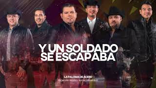 DUELO  La Paloma De Acero Lyrics Video [upl. by Fessuoy]