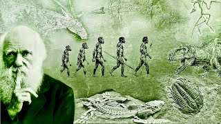 Evolution  What Darwin Never Knew  NOVA Full Documentary HD [upl. by Mattie]