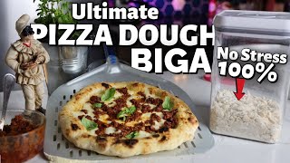 How to Make Perfect Biga No Stress Pizza Dough at Home 100 [upl. by Ahsial]