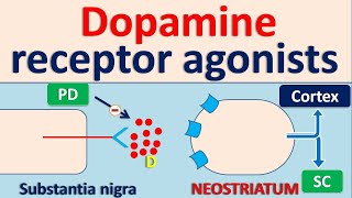 Dopamine receptor agonists for Parkinson Disease PD [upl. by Morven614]