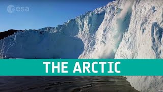 How an Arctic Squirrel Survives Winter  Wild Alaska  BBC Earth [upl. by Ayom156]