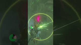 zelda DIVINE BEAST VAH RUTA FAIL😂😂😂 [upl. by Faythe984]