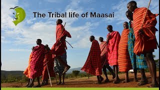 Maasai Mara Village and Tribe Life [upl. by Yordan]