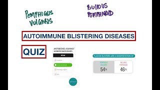 Blisters Pemphigus Vulgaris vs Bullous Pemphigoid  USMLE  MCQs [upl. by Gwenn]