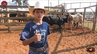 1º RODEIO JUNIOR CIA MARCO LAURANO 2019 Desafio do bem [upl. by Holmun]