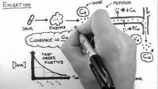 Pharmacokinetics 5  Excretion [upl. by Neehsas590]