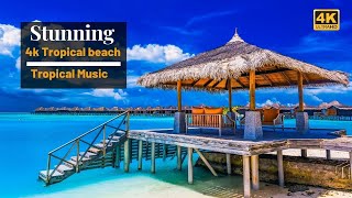 4k Tropical Beach  Beautiful Tropical Music  Chill amp House Music  Maldives Island amp Bora Bora [upl. by Nawotna912]