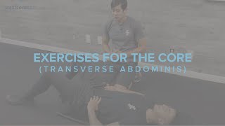 Exercises for the Core Transverse Abdominis [upl. by Welcy]