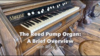 How Pump Organ Works  with Ricky Tims [upl. by Netti]