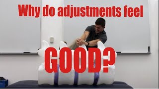 How does a Chiropractic Adjustment Work [upl. by Ateikan128]